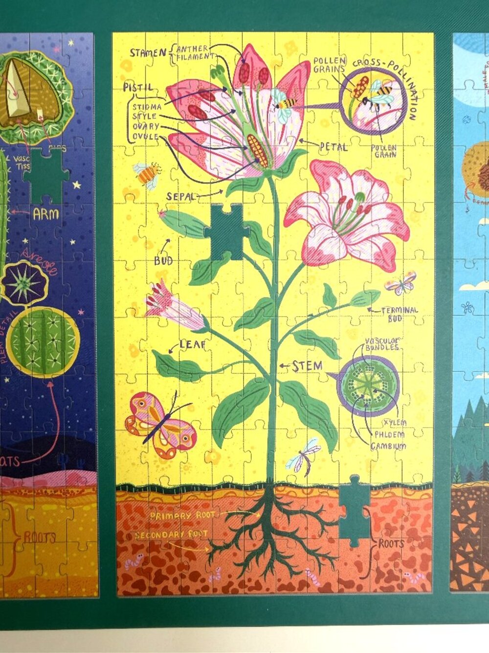 Mudpuppy Plant Anatomy Science Puzzle Set 3-in-1 Educational Kids Puzzle - Picture 3 of 10